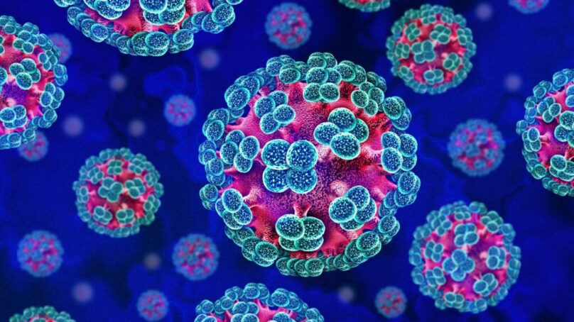 Kenya puts its airports, seaports and other entry points on high alert over hantavirus outbreak