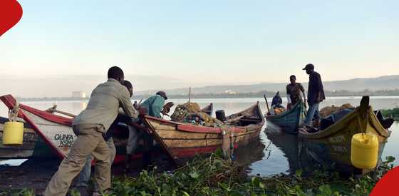 Scramble for diminishing fish stocks in Lake Victoria results in vicious fight that kills fisherman in Suba South