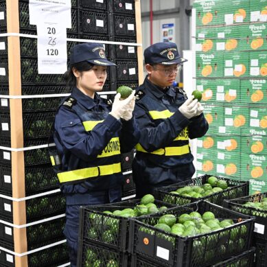 Industry leader: China’s zero-tariff policy will enhance Africa’s export confidence, global trade stability
