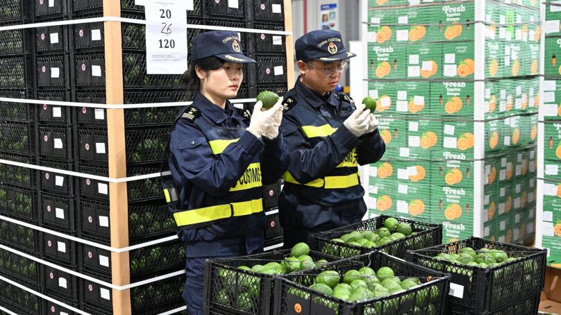 Industry leader: China’s zero-tariff policy will enhance Africa’s export confidence, global trade stability
