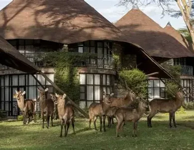 From ‘Sin City’ to resort: How Naivasha is shedding reputation of a crime hotspot to tourism and leisure city