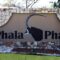Impeachment: South African parliament forms 31-member committee on Ramaphosa’s Phala Phala case