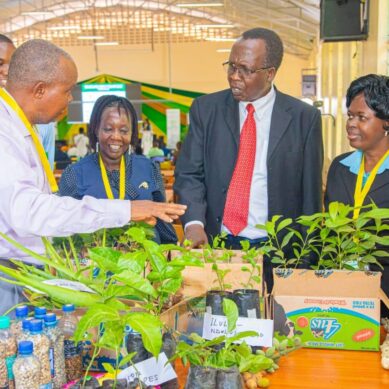 Agriculture minister wants arid and semi-arid regions to become focal point of national livestock development