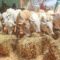 Kenya hosts World Desertification Day in Kilifi with focus on arid land-use, climate resilience and livestock development
