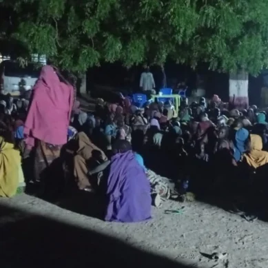 Nigerian army frees 360 abducted people in north-eastern Borno state