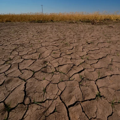 North-eastern Africa warned to brace for weather whiplash with heat, floods, droughts, fires as El Nino builds up in Pacific Ocean