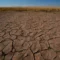 North-eastern Africa warned to brace for weather whiplash with heat, floods, droughts, fires as El Nino builds up in Pacific Ocean