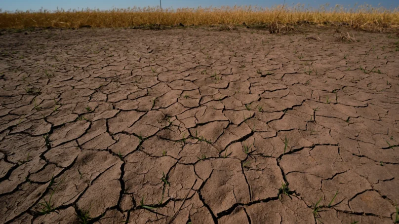 North-eastern Africa warned to brace for weather whiplash with heat, floods, droughts, fires as El Nino builds up in Pacific Ocean
