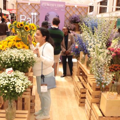 Kenya strengthens position in floriculture as annual flower show opens in Nairobi with record exhibitors