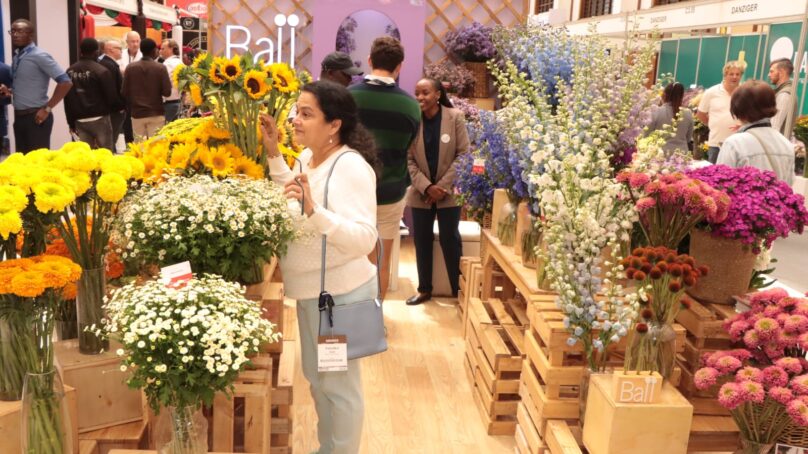 Kenya strengthens position in floriculture as annual flower show opens in Nairobi with record exhibitors