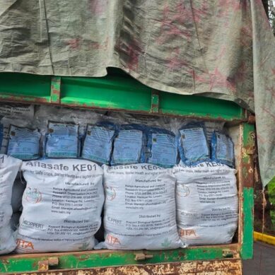 Fears of poisonous human food and animal feeds in Kenyan markets stirs government into action