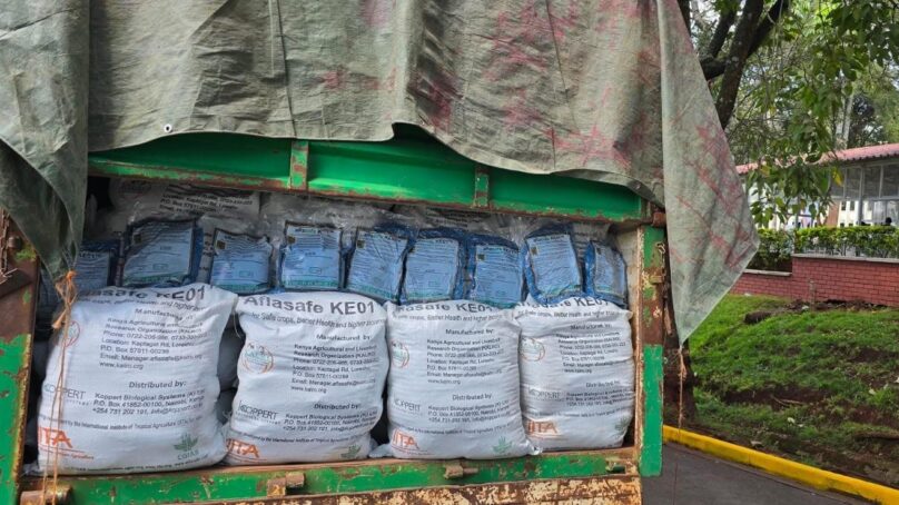 Fears of poisonous human food and animal feeds in Kenyan markets stirs government into action