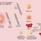 New study identifies gene linking early growth to faster aging, cancer