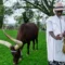 In Rwanda’s King’s Palace Museum, president’s Inyambo cows are entertained with melodious poetry that calls them by their ‘beautiful’ names