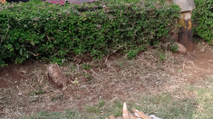 Police in Marsabit County arrests three suspect with elephant tusks valued at $29,990