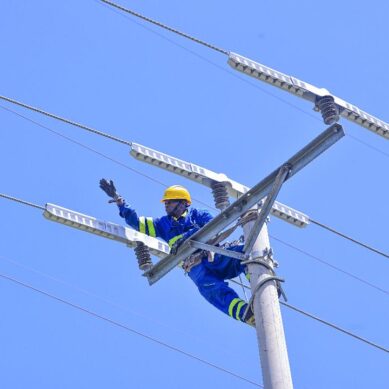 Kenya Power partners with American company to curb bird and wildlife electrocution along powerlines