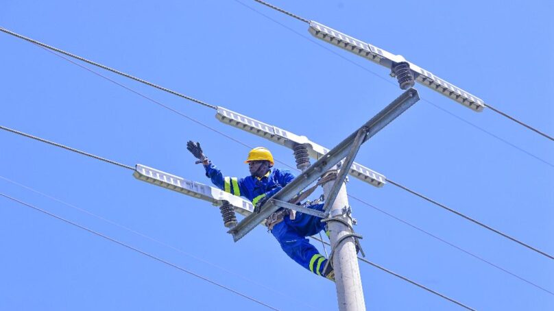 Kenya Power partners with American company to curb bird and wildlife electrocution along powerlines