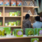 Noodled China: Matcha boom turns Guizhou tea into new growth ingredient in the mountainous Guizhou Province