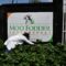 How gap in livestock feed supply chain inspired farmer in central Kenya to set up a virtual ‘nappier supermarket’ for Africa