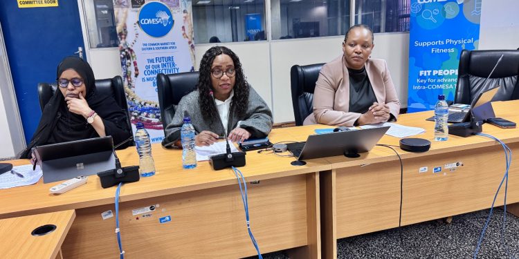Africa Union meeting in Lusaka ramps up push to secure continent’s access to lifesaving essential drugs