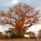 Tanzania kicks off three-year drive to conserve 57 tree species on the IUCN Red List of extinction