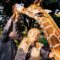 Kenya pushing to raise tourism earnings to $8.5 billion by 2027 but faces ecosystem degradation, threats to wildlife