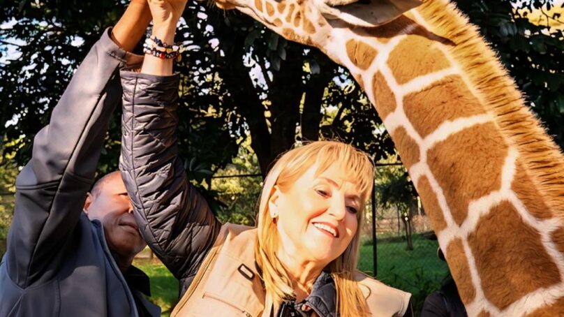 Kenya pushing to raise tourism earnings to $8.5 billion by 2027 but faces ecosystem degradation, threats to wildlife