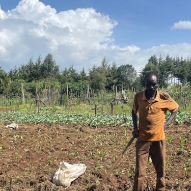 Meeting basic needs: From just a quarter an acre, farmer in Uasin Gishu County shows ‘small is big’