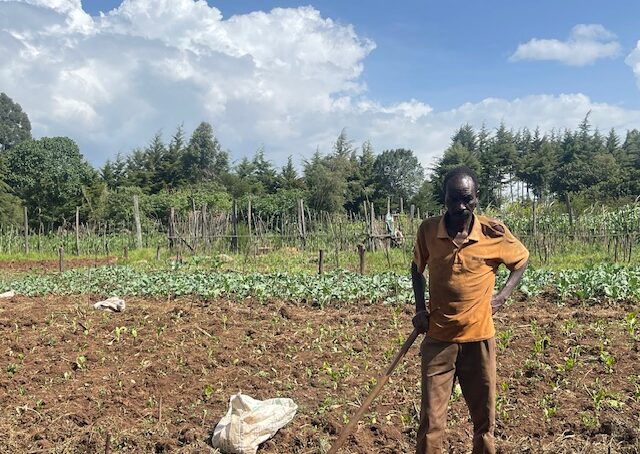 Meeting basic needs: From just a quarter an acre, farmer in Uasin Gishu County shows ‘small is big’