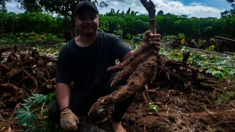 WHO Food Death Report says unsafe food kills 1.5 million annually with children hit hardest