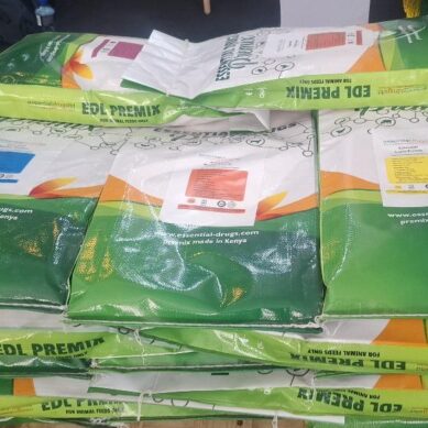 Kenya rolls out $3.6 billion National Feed Strategy to cut animal feed cost and increase milk, meat and egg production