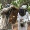 Modern beekeeping adds new flavour to farmer earnings, promotes environmental conservation in Kakamega