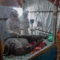 Fear of rapid spread of Ebola in eastern Congo rises after WHO government fail to pay overworked medical staff