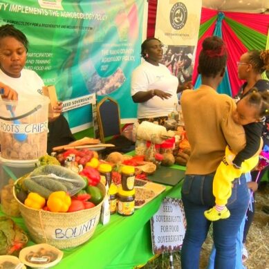 Farmers in Kenya’s Rift Valley region turn to indigenous crops to strengthen food systems, restore diminishing soil health