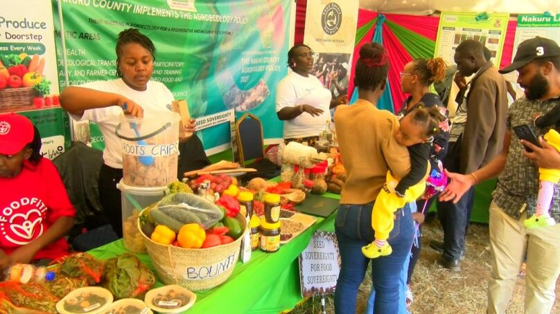 Farmers in Kenya’s Rift Valley region turn to indigenous crops to strengthen food systems, restore diminishing soil health