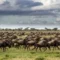 Tourism: Narok County government in Kenya’s Rift Valley upgrades infrastructure in world-famous Masai Mara National Reserve