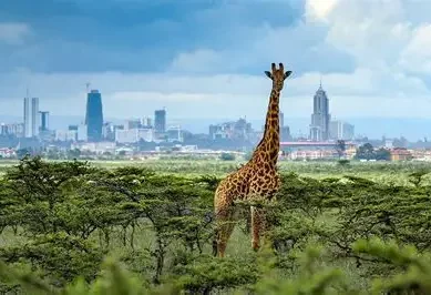 Some 4,600 Kenyans petition Environment and Land Court to halt construction in Nairobi National Park
