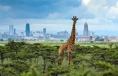 Some 4,600 Kenyans petition Environment and Land Court to halt construction in Nairobi National Park