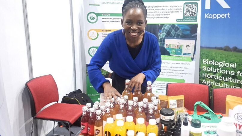 Financing and fair market featured as key factors in Kenya’s agroecology at agri-food summit in Nairobi, agri-ecologists say