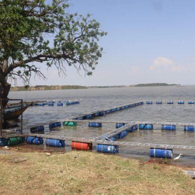 Business communities and fishermen at Ogal on Lake Victoria lament omission of key infrastructure in construction of ultra-modern fish landing site
