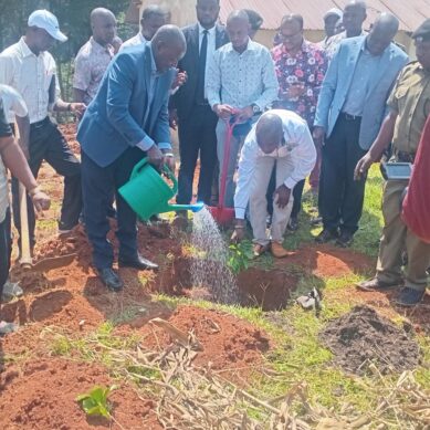 Vihiga County in western Kenya banks on rebounding coffee sector to inject dynamism in local economy, boost incomes