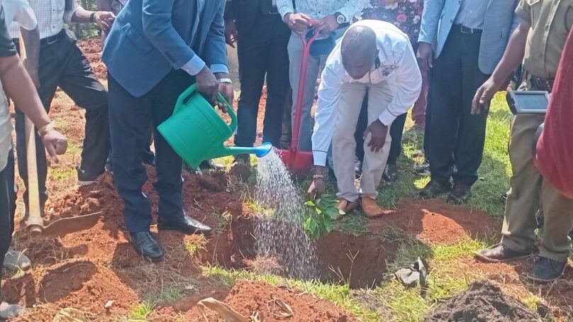 Vihiga County in western Kenya banks on rebounding coffee sector to inject dynamism in local economy, boost incomes