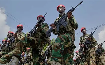Insurgency: Somali army supported by Jubaland State forces kill 16 al-Shabaab militants