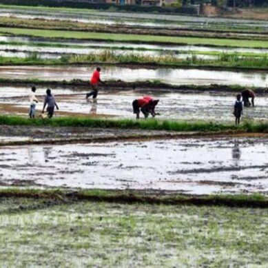 When cooperation replaces resistance: How farmers in coastal region of Kenya are reimagining agriculture in a changing climate