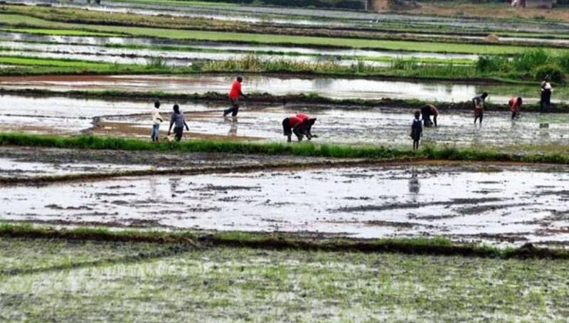 When cooperation replaces resistance: How farmers in coastal region of Kenya are reimagining agriculture in a changing climate