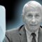 Texts found in US department of health former chief Anthony Fauci suggest he raised Covid vaccine miscarriage risk