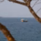 Iran warns that it will go on offensive in Strait of Hormuz if diplomacy with US fails