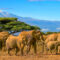 Ministry: Earnings from Kenya’s tourism industry leapt by 52 per cent to $4.4 billion in the 2025-26 financial year