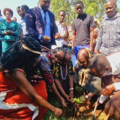 Indigenous Day: Masinde Muliro University in western Kenya to spearhead planting of 130,000 indigenous trees in the region