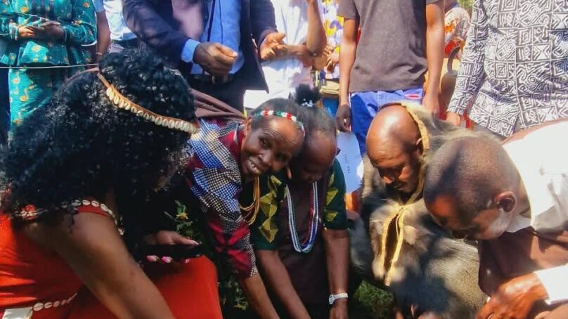 Indigenous Day: Masinde Muliro University in western Kenya to spearhead planting of 130,000 indigenous trees in the region